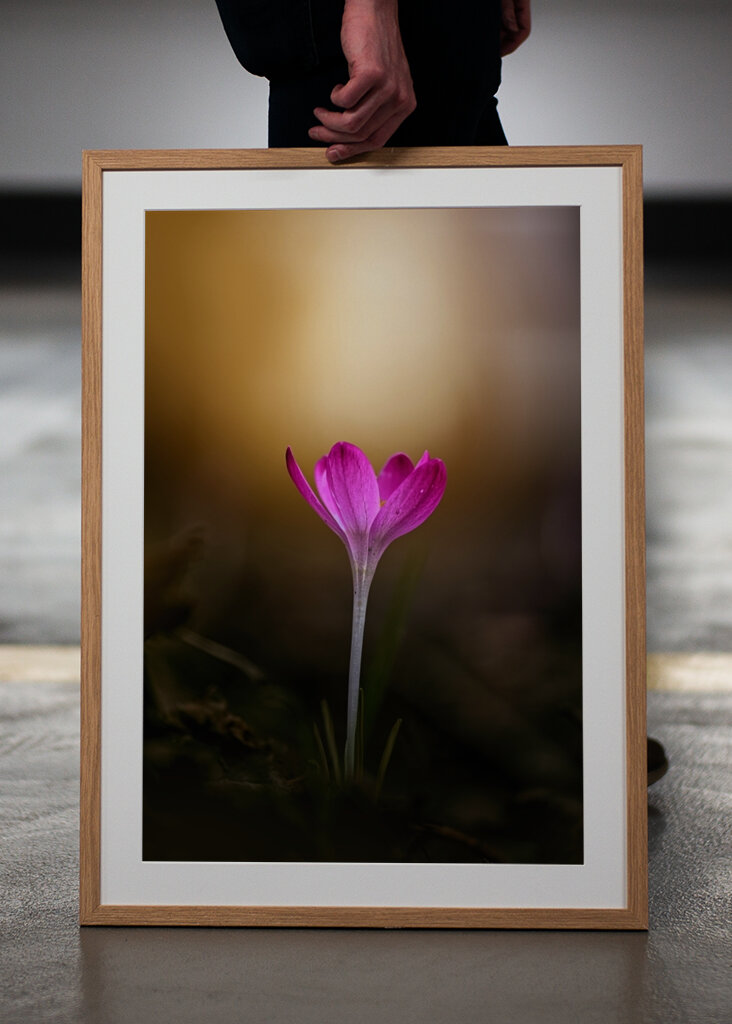 Spring is coming soon