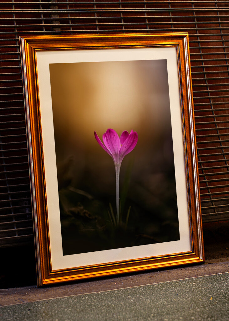 Spring is coming soon