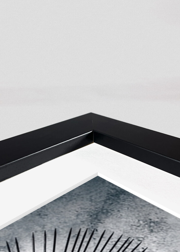 Una dolorosa espina rosa negra