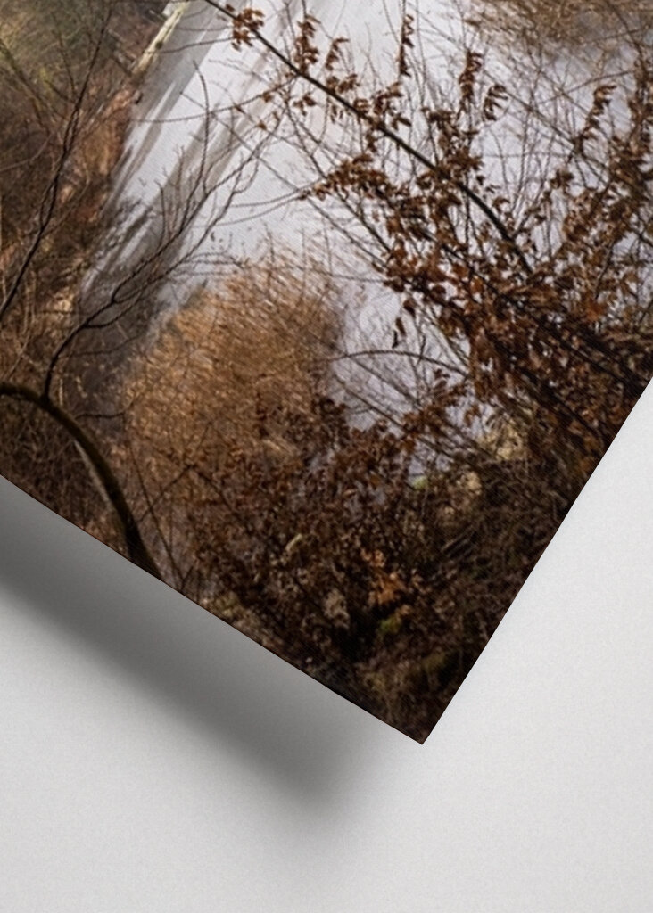 Pond with Grafenstein Castle