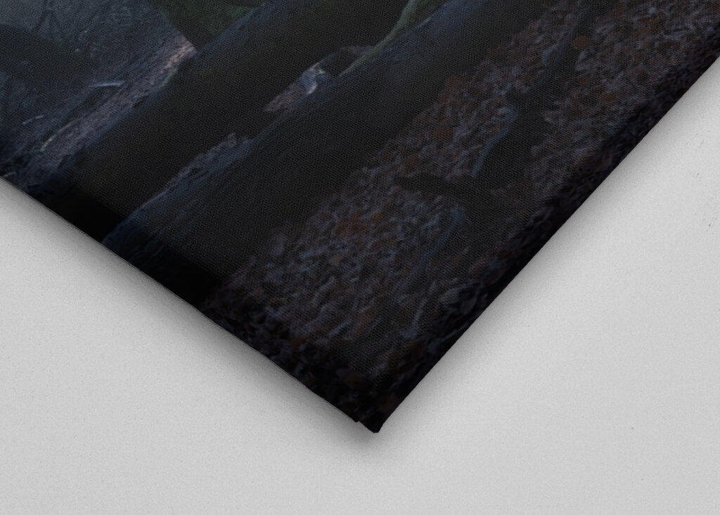 Magical winter forest