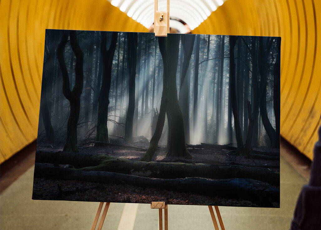 Magical winter forest