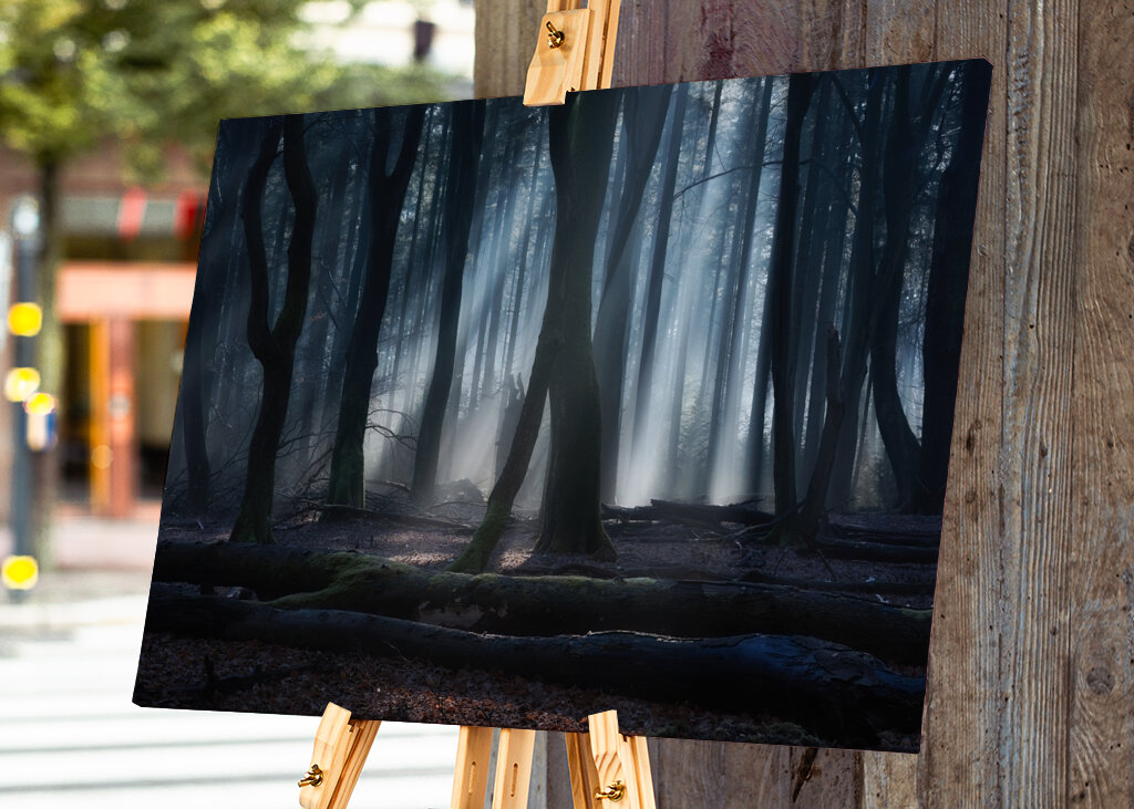 Magical winter forest