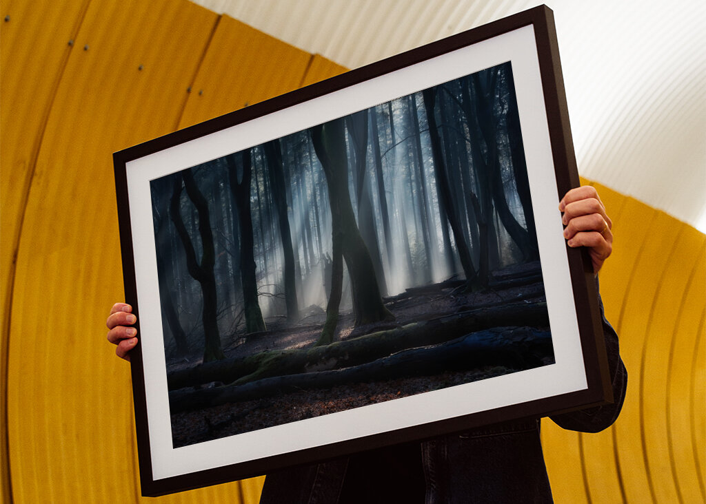 Magical winter forest