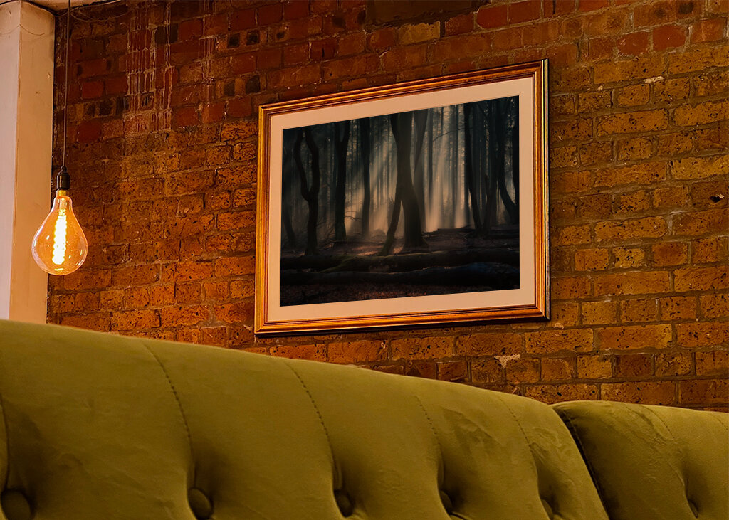 Magical winter forest