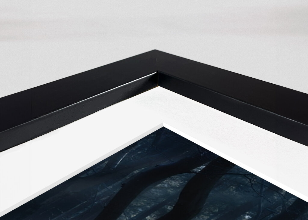 Magical winter forest