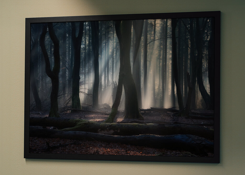 Magical winter forest