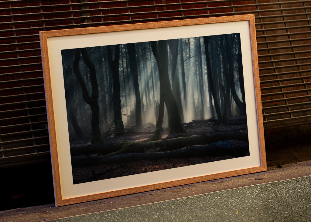 Magical winter forest