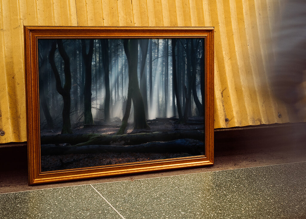 Magical winter forest