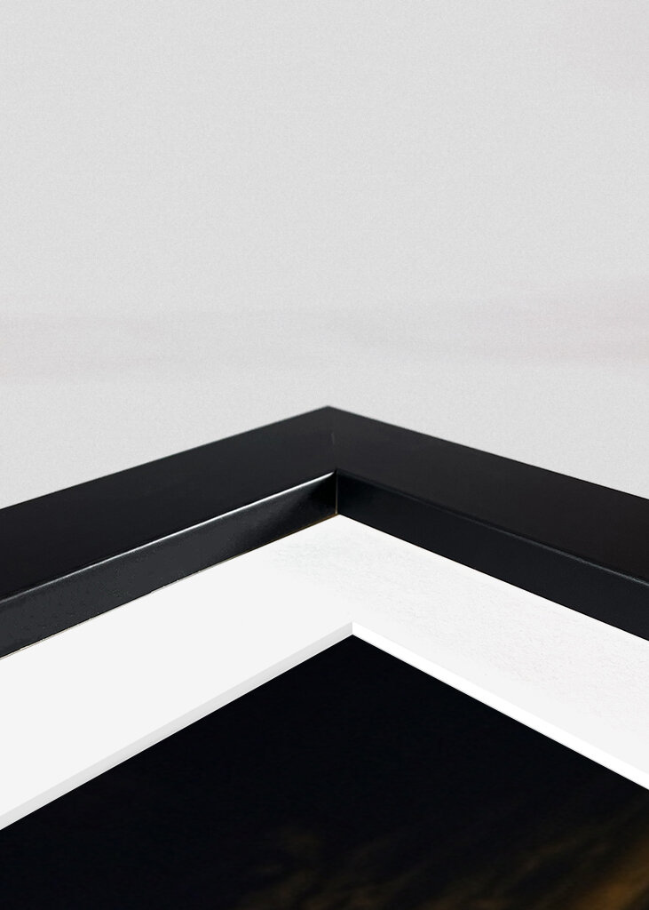 wineglases in the sunset.