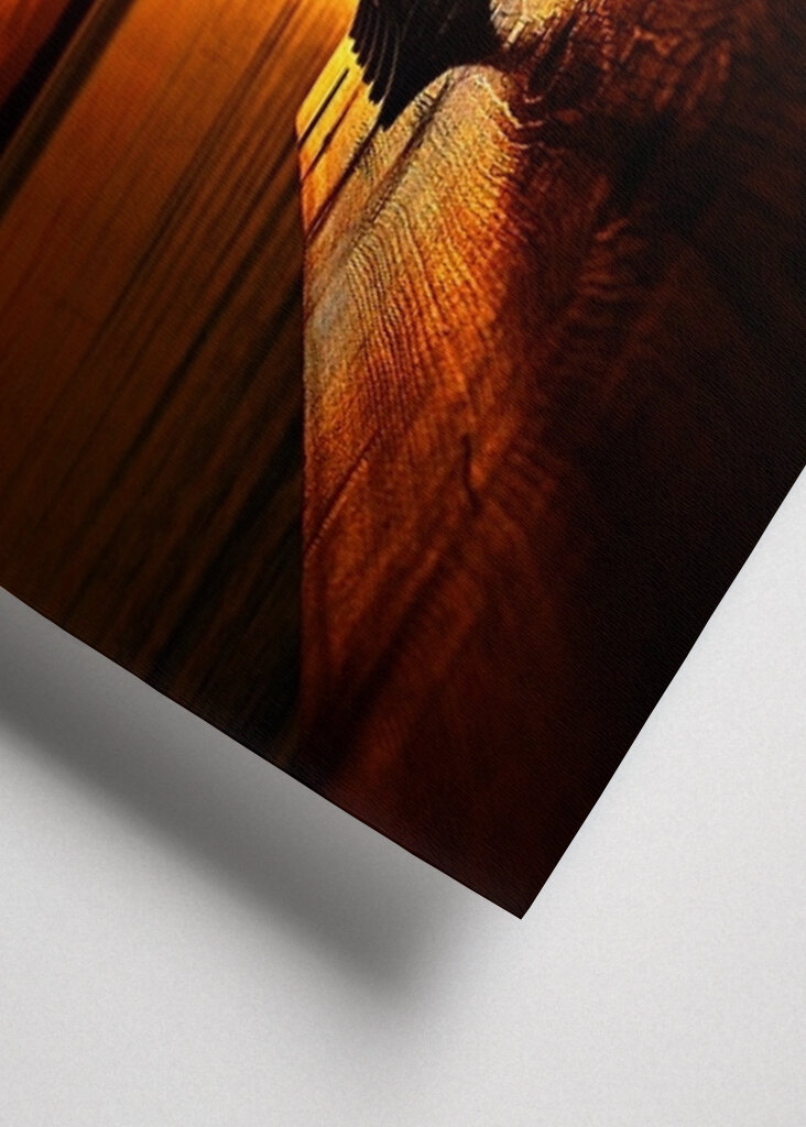 wineglases in the sunset.