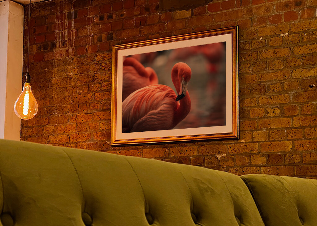 Il fenicottero e la rosa