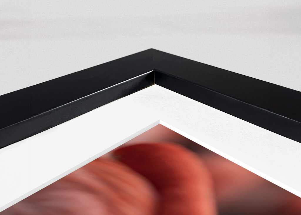 Il fenicottero e la rosa