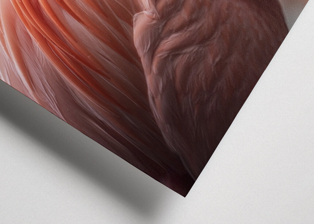 Il fenicottero e la rosa