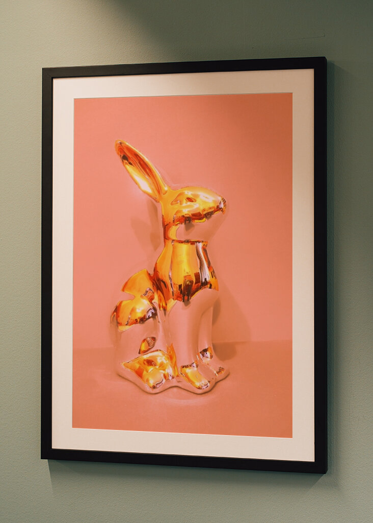 The rabbit is a tramp 