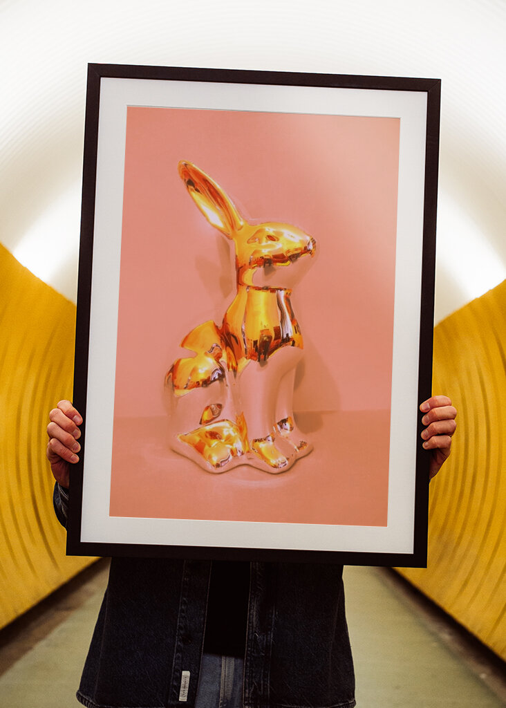 The rabbit is a tramp 