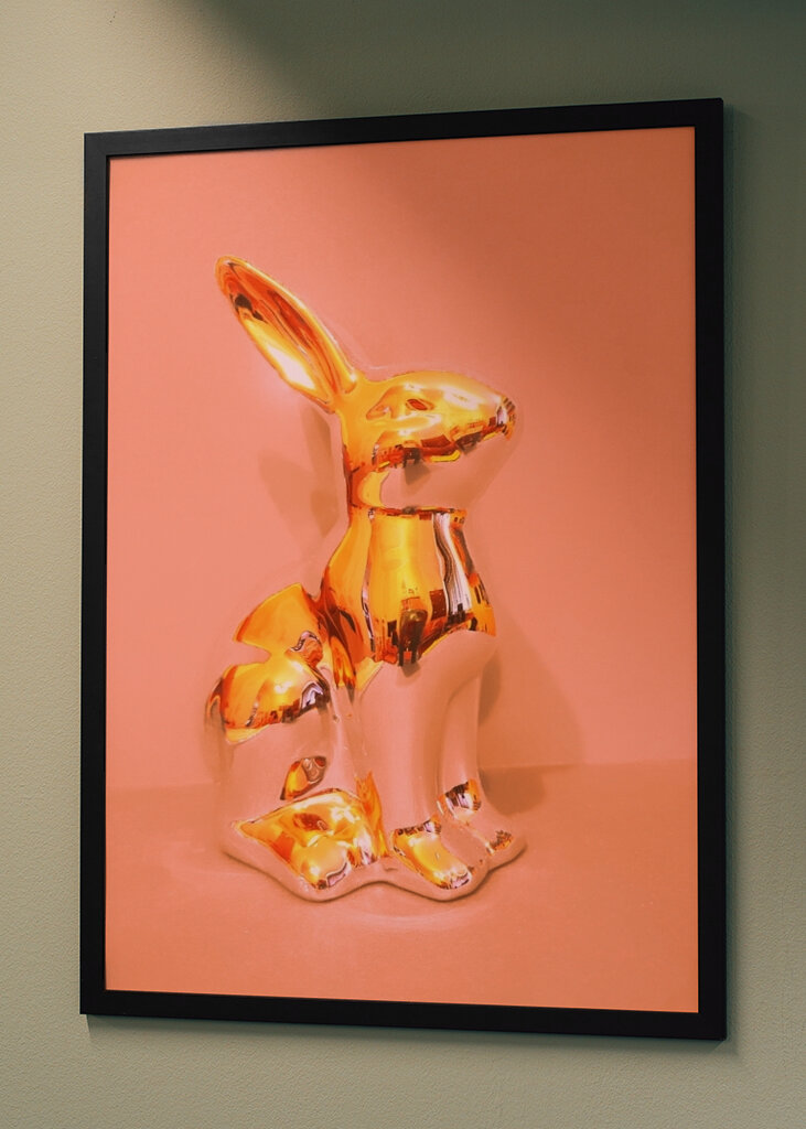 The rabbit is a tramp 