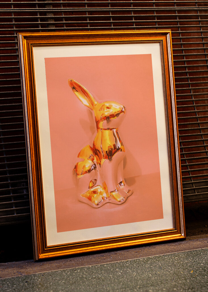 The rabbit is a tramp 