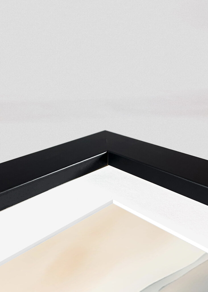 Niebla sobre los prados