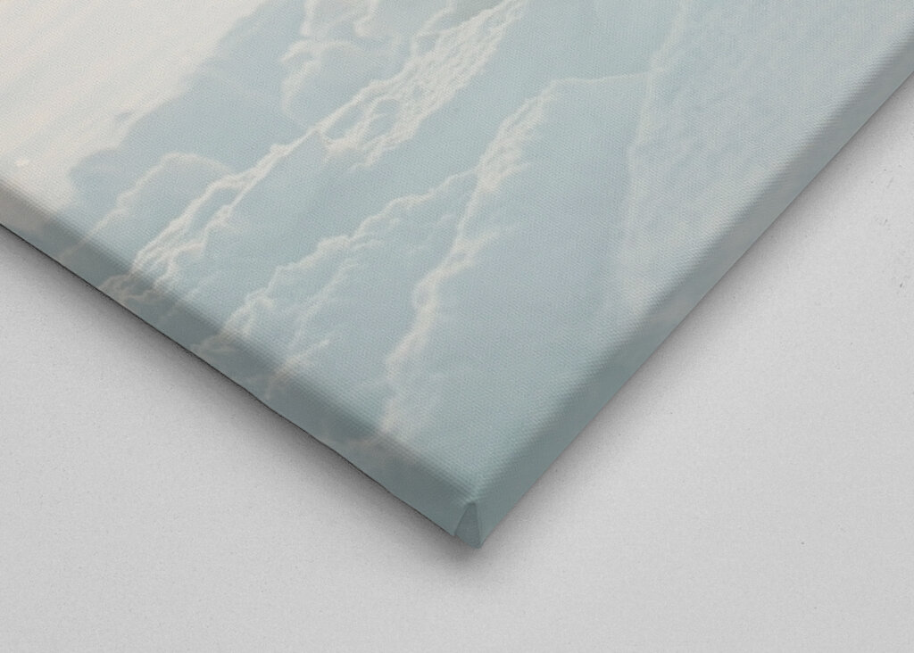 Puro nella retroilluminazione dorata