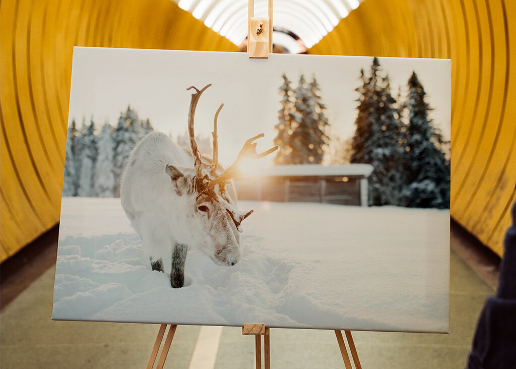 Puro nella retroilluminazione dorata