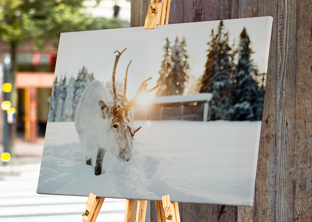 Puro nella retroilluminazione dorata