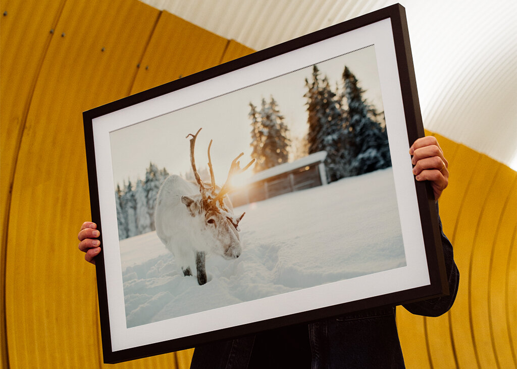 Puro nella retroilluminazione dorata