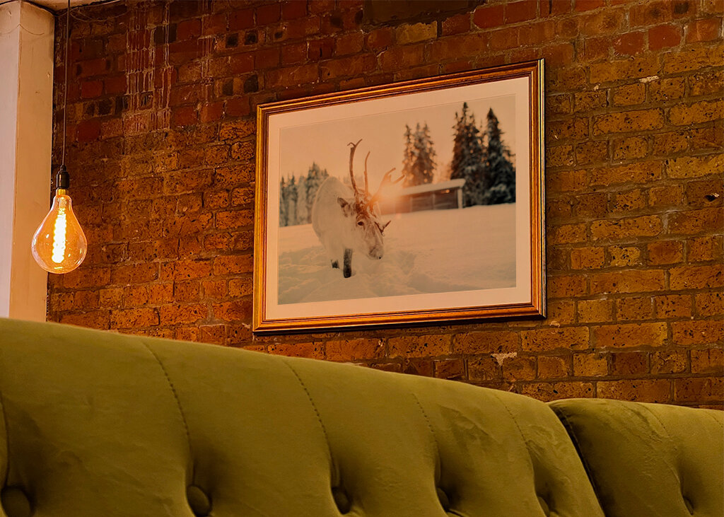 Puro nella retroilluminazione dorata