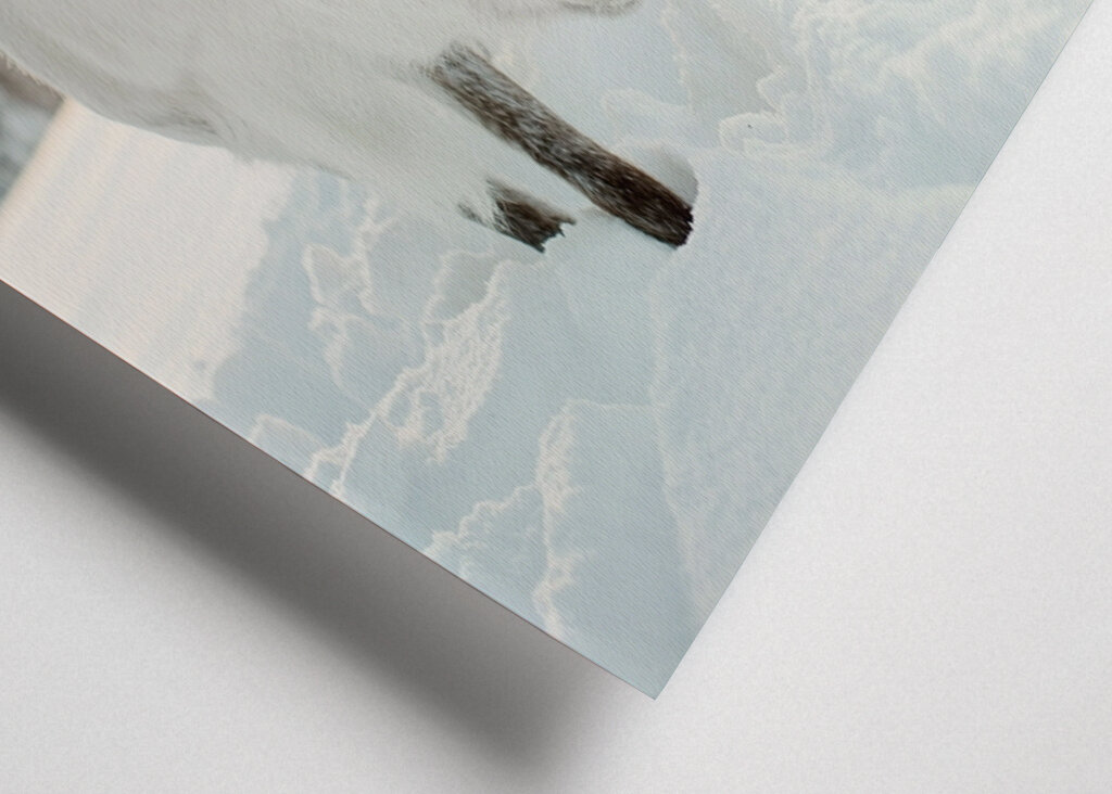 Puro nella retroilluminazione dorata