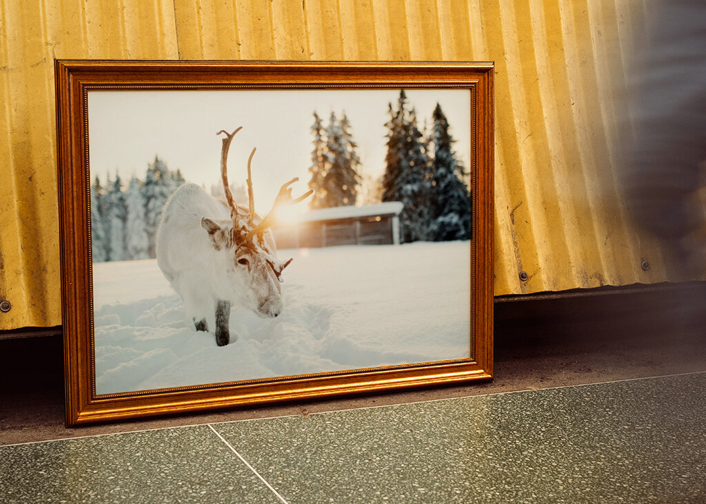 Puro nella retroilluminazione dorata