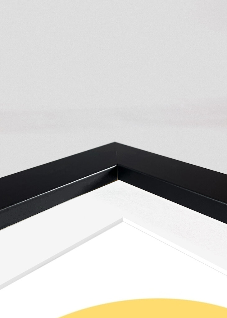 Liam Gallagher Jeune Pop Art