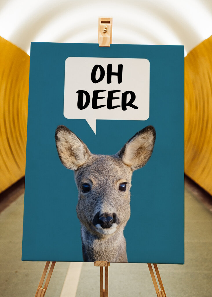 Oh Deer