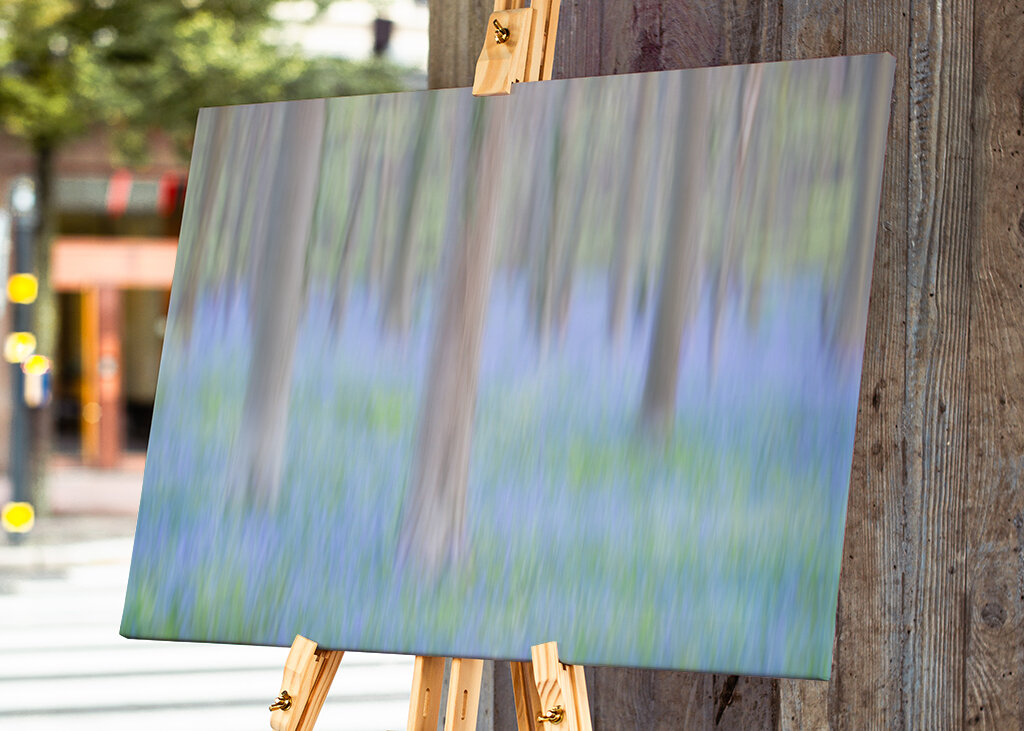 Zauberwald im Hallerbos