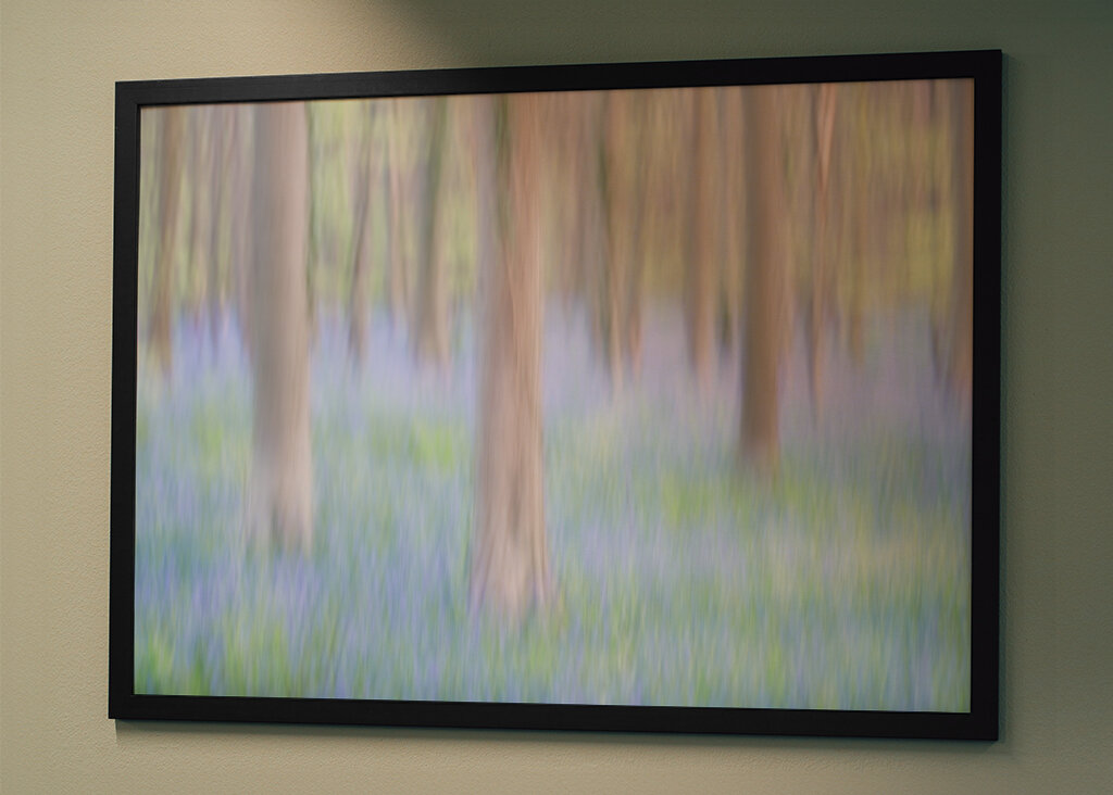 Zauberwald im Hallerbos