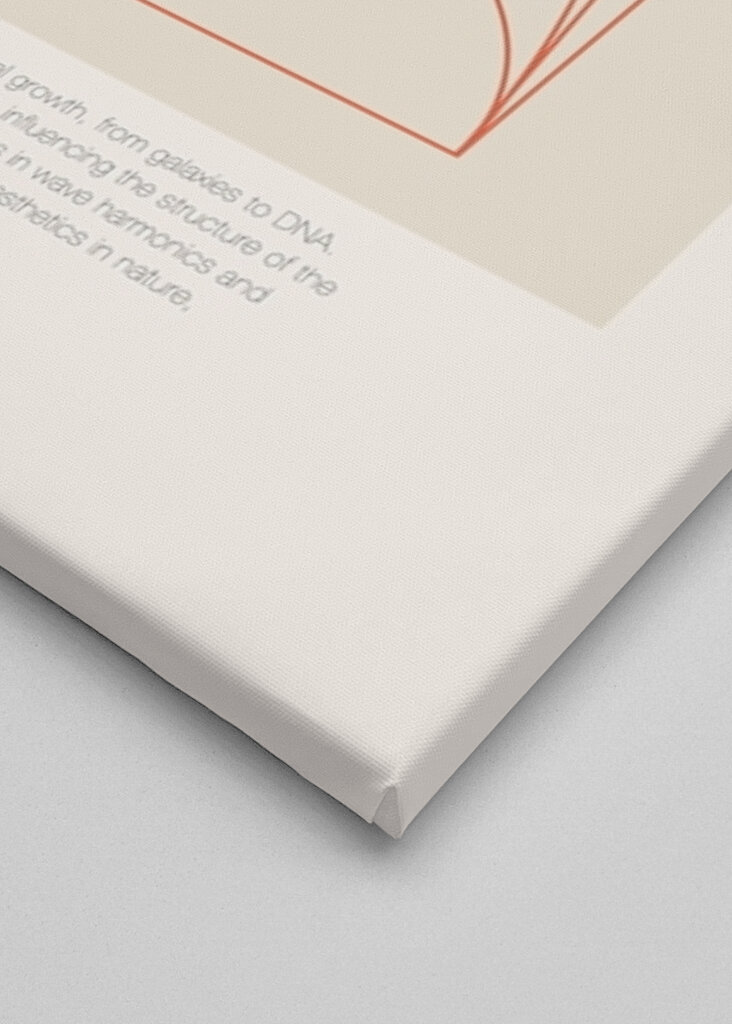 Phi - La Proporción Áurea