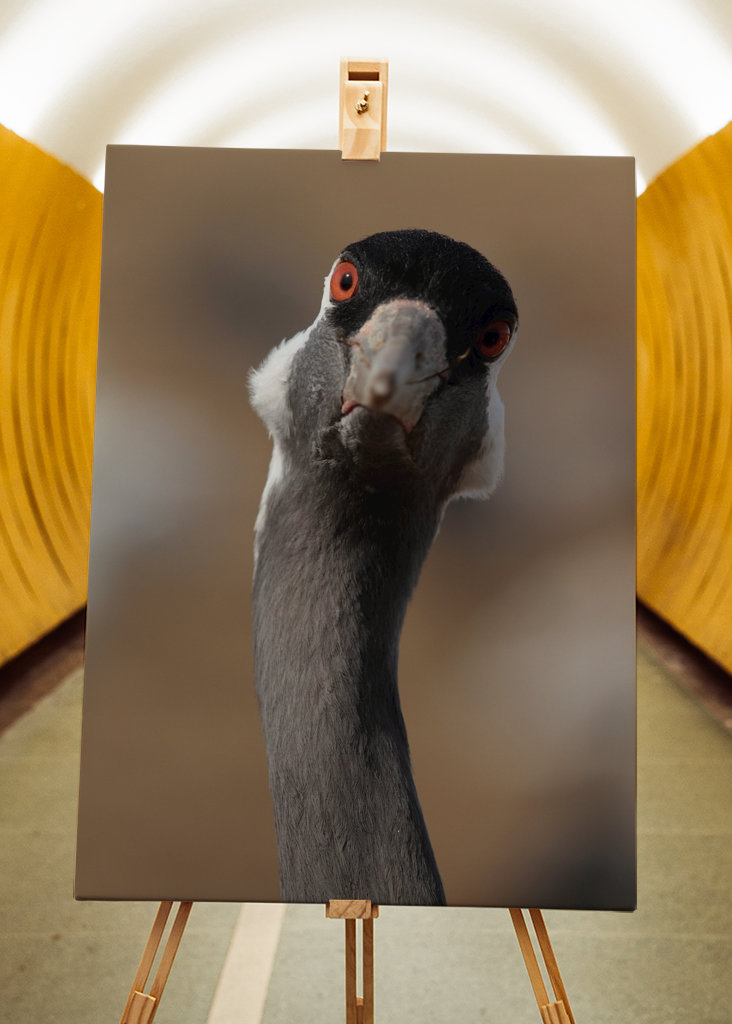 Nyanna está en trance.