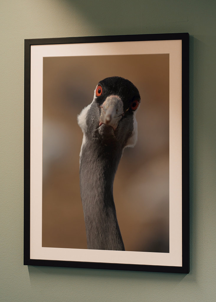 Nyanna está en trance.