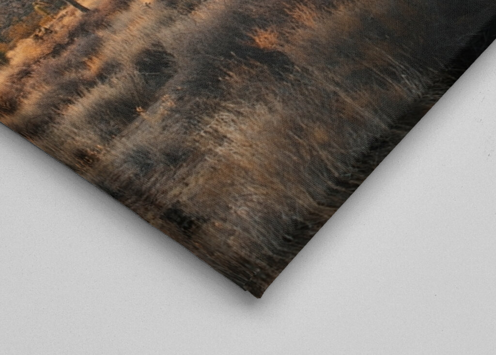 Joshua Tree Park Magic