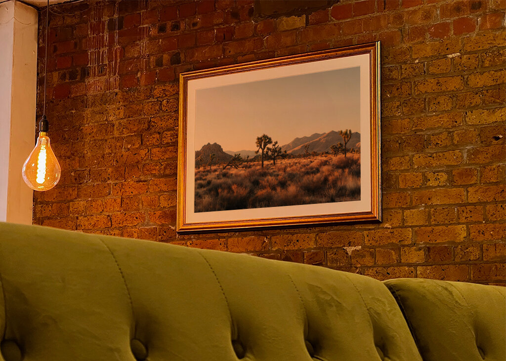 Joshua Tree Park Magic