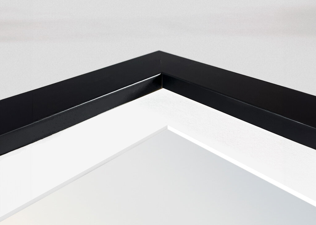 Joshua Tree Park Magic