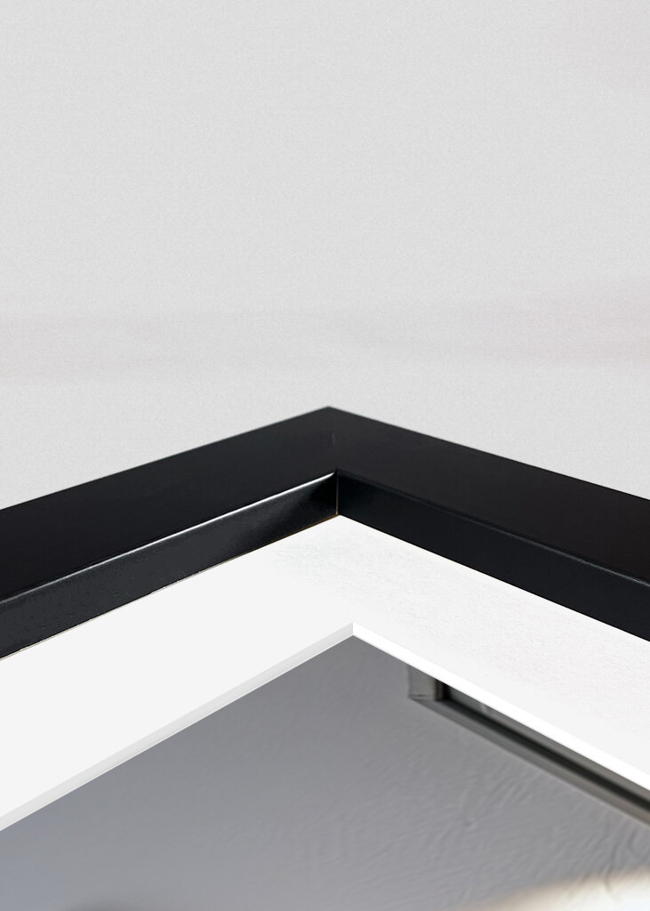 Orange Tabby Cat on the Toilet