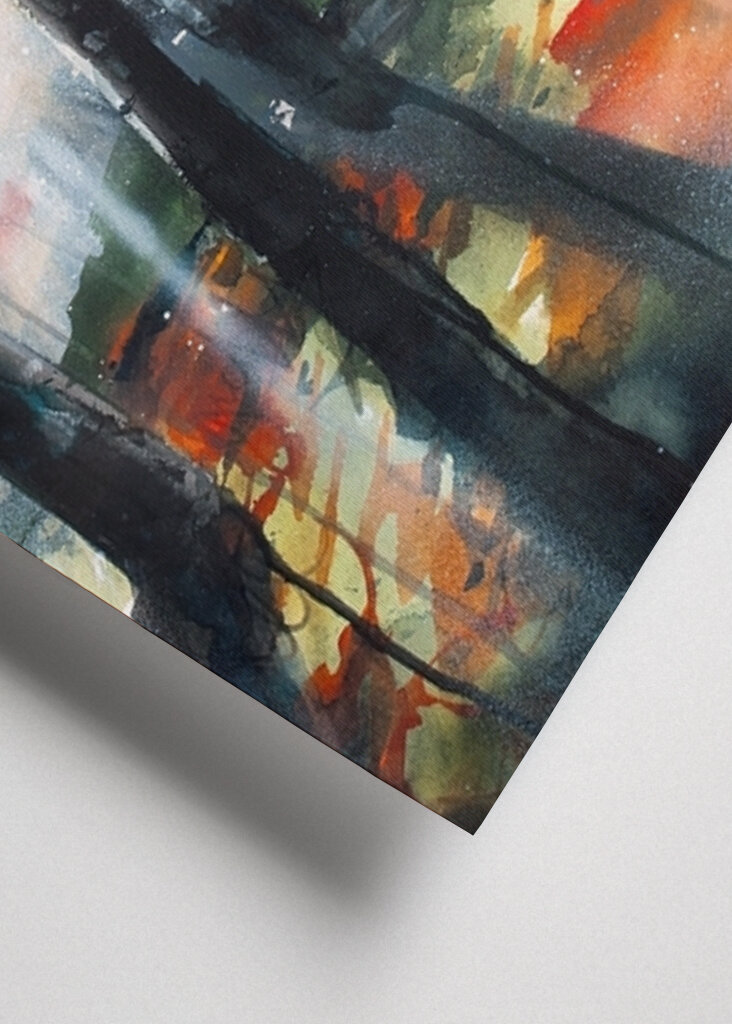 Bosque de abedules a contraluz