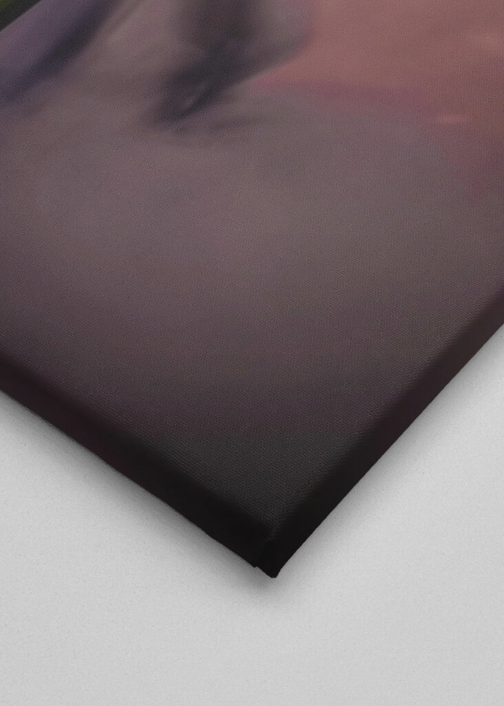 Untergetauchte rosa Nelke 