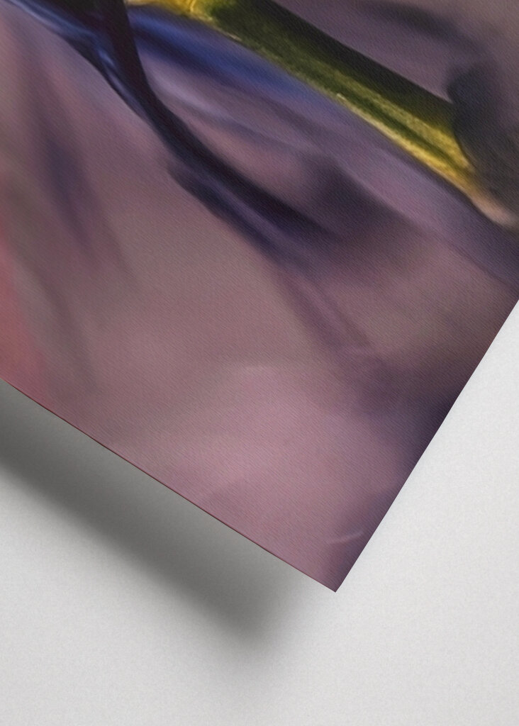 Untergetauchte rosa Nelke 