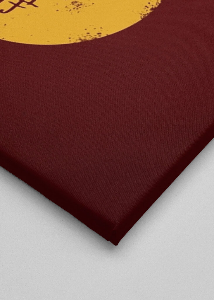 Firefly Serenity Silhouette Po