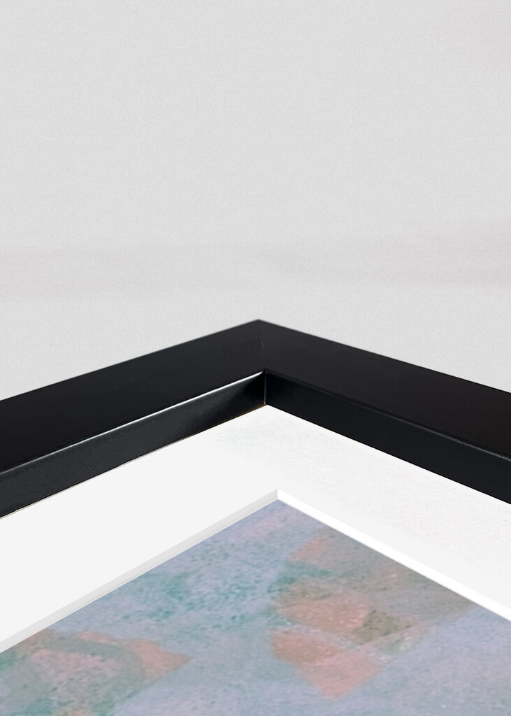 Flowers behind walls