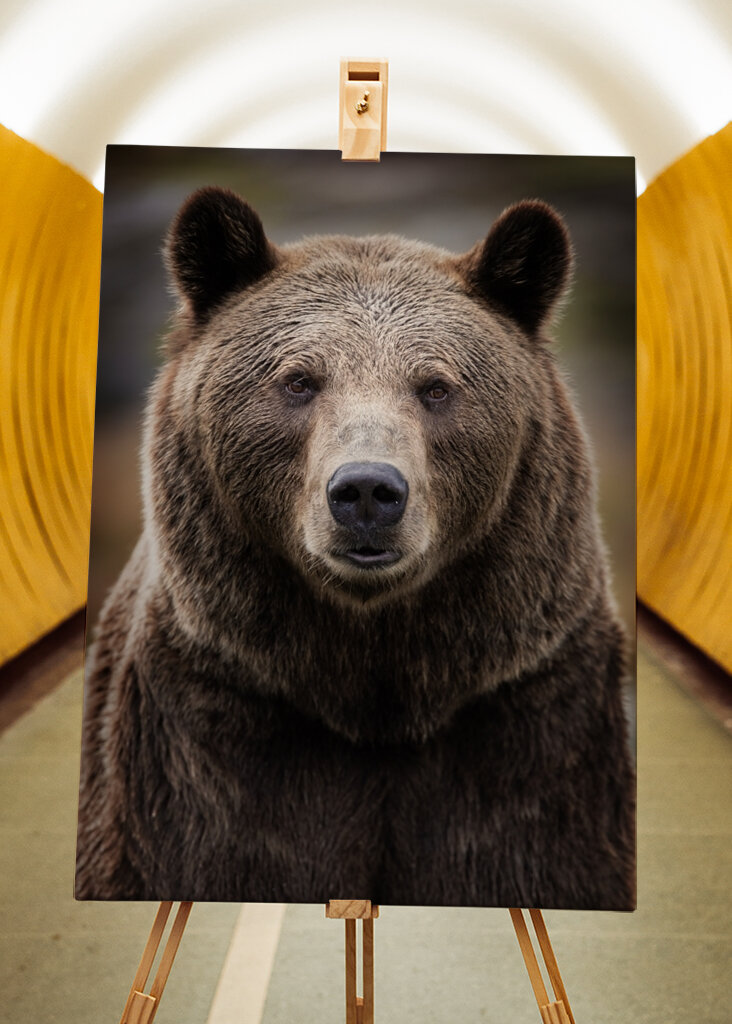 Retrato de primer plano de oso