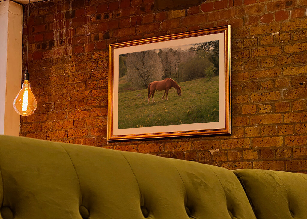 Pasoucí se kůň v třešňovém údolí