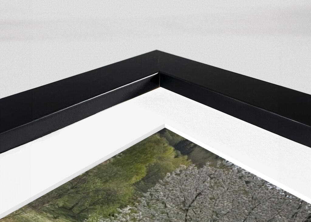 Pasoucí se kůň v třešňovém údolí