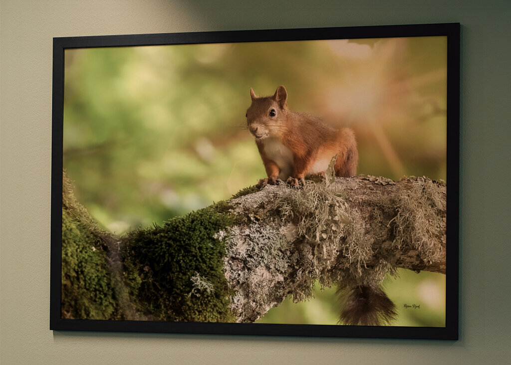 The Creature in the CastlePark